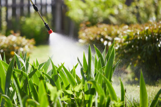 24/7 Emergency Termite Control experts in Centralia, WA